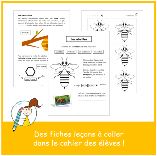 Dossier Les Abeilles - C'est élémentaire